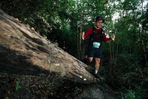 BIB: 
                            <button type="button" onclick="openModal(27959484)" class="btn btn-primary btn-sm float-right btn-popup" data-toggle="modal" data-target=".modal-high-quality">
                        <i class="fas fa-shopping-cart"></i> Add to Cart
                    </button>
                                            <button type="button" onclick="isThisMe(27959484, true)" class="btn btn-success btn-sm float-right btn-popup btn-isme hidden" data-toggle="tooltip" data-placement="bottom" title="นี่คือรูปของคุณใช่ไหม คลิกที่นี่เพื่อเอาเข้าอัลบั้ม">
                        <i class="fas fa-plus"></i> Add to album
                    </button>
                    <button type="button" onclick="isThisMe(27959484, false)" class="btn btn-warning btn-sm float-right btn-popup btn-isnotme hidden">
                        <i class="fas fa-ban"></i> Remove from album
                    </button>