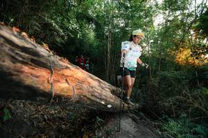 BIB: 
                            <button type="button" onclick="openModal(27957969)" class="btn btn-primary btn-sm float-right btn-popup" data-toggle="modal" data-target=".modal-high-quality">
                        <i class="fas fa-shopping-cart"></i> Add to Cart
                    </button>
                                            <button type="button" onclick="isThisMe(27957969, true)" class="btn btn-success btn-sm float-right btn-popup btn-isme hidden" data-toggle="tooltip" data-placement="bottom" title="นี่คือรูปของคุณใช่ไหม คลิกที่นี่เพื่อเอาเข้าอัลบั้ม">
                        <i class="fas fa-plus"></i> Add to album
                    </button>
                    <button type="button" onclick="isThisMe(27957969, false)" class="btn btn-warning btn-sm float-right btn-popup btn-isnotme hidden">
                        <i class="fas fa-ban"></i> Remove from album
                    </button>