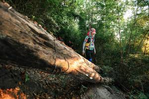 BIB: 
                            <button type="button" onclick="openModal(27943190)" class="btn btn-primary btn-sm float-right btn-popup" data-toggle="modal" data-target=".modal-high-quality">
                        <i class="fas fa-shopping-cart"></i> Add to Cart
                    </button>
                                            <button type="button" onclick="isThisMe(27943190, true)" class="btn btn-success btn-sm float-right btn-popup btn-isme hidden" data-toggle="tooltip" data-placement="bottom" title="นี่คือรูปของคุณใช่ไหม คลิกที่นี่เพื่อเอาเข้าอัลบั้ม">
                        <i class="fas fa-plus"></i> Add to album
                    </button>
                    <button type="button" onclick="isThisMe(27943190, false)" class="btn btn-warning btn-sm float-right btn-popup btn-isnotme hidden">
                        <i class="fas fa-ban"></i> Remove from album
                    </button>