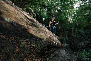 BIB: 
                            <button type="button" onclick="openModal(27959051)" class="btn btn-primary btn-sm float-right btn-popup" data-toggle="modal" data-target=".modal-high-quality">
                        <i class="fas fa-shopping-cart"></i> Add to Cart
                    </button>
                                            <button type="button" onclick="isThisMe(27959051, true)" class="btn btn-success btn-sm float-right btn-popup btn-isme hidden" data-toggle="tooltip" data-placement="bottom" title="นี่คือรูปของคุณใช่ไหม คลิกที่นี่เพื่อเอาเข้าอัลบั้ม">
                        <i class="fas fa-plus"></i> Add to album
                    </button>
                    <button type="button" onclick="isThisMe(27959051, false)" class="btn btn-warning btn-sm float-right btn-popup btn-isnotme hidden">
                        <i class="fas fa-ban"></i> Remove from album
                    </button>