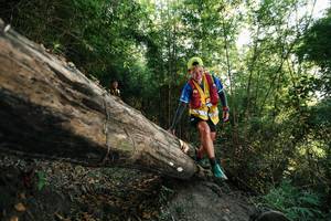 BIB: 
                            <button type="button" onclick="openModal(27935375)" class="btn btn-primary btn-sm float-right btn-popup" data-toggle="modal" data-target=".modal-high-quality">
                        <i class="fas fa-shopping-cart"></i> Add to Cart
                    </button>
                                            <button type="button" onclick="isThisMe(27935375, true)" class="btn btn-success btn-sm float-right btn-popup btn-isme hidden" data-toggle="tooltip" data-placement="bottom" title="นี่คือรูปของคุณใช่ไหม คลิกที่นี่เพื่อเอาเข้าอัลบั้ม">
                        <i class="fas fa-plus"></i> Add to album
                    </button>
                    <button type="button" onclick="isThisMe(27935375, false)" class="btn btn-warning btn-sm float-right btn-popup btn-isnotme hidden">
                        <i class="fas fa-ban"></i> Remove from album
                    </button>