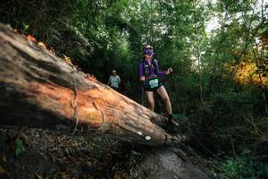 BIB: 
                            <button type="button" onclick="openModal(27958029)" class="btn btn-primary btn-sm float-right btn-popup" data-toggle="modal" data-target=".modal-high-quality">
                        <i class="fas fa-shopping-cart"></i> Add to Cart
                    </button>
                                            <button type="button" onclick="isThisMe(27958029, true)" class="btn btn-success btn-sm float-right btn-popup btn-isme hidden" data-toggle="tooltip" data-placement="bottom" title="นี่คือรูปของคุณใช่ไหม คลิกที่นี่เพื่อเอาเข้าอัลบั้ม">
                        <i class="fas fa-plus"></i> Add to album
                    </button>
                    <button type="button" onclick="isThisMe(27958029, false)" class="btn btn-warning btn-sm float-right btn-popup btn-isnotme hidden">
                        <i class="fas fa-ban"></i> Remove from album
                    </button>