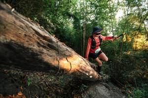 BIB: 
                            <button type="button" onclick="openModal(27947081)" class="btn btn-primary btn-sm float-right btn-popup" data-toggle="modal" data-target=".modal-high-quality">
                        <i class="fas fa-shopping-cart"></i> Add to Cart
                    </button>
                                            <button type="button" onclick="isThisMe(27947081, true)" class="btn btn-success btn-sm float-right btn-popup btn-isme hidden" data-toggle="tooltip" data-placement="bottom" title="นี่คือรูปของคุณใช่ไหม คลิกที่นี่เพื่อเอาเข้าอัลบั้ม">
                        <i class="fas fa-plus"></i> Add to album
                    </button>
                    <button type="button" onclick="isThisMe(27947081, false)" class="btn btn-warning btn-sm float-right btn-popup btn-isnotme hidden">
                        <i class="fas fa-ban"></i> Remove from album
                    </button>