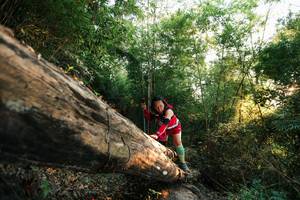 BIB: 
                            <button type="button" onclick="openModal(27937496)" class="btn btn-primary btn-sm float-right btn-popup" data-toggle="modal" data-target=".modal-high-quality">
                        <i class="fas fa-shopping-cart"></i> Add to Cart
                    </button>
                                            <button type="button" onclick="isThisMe(27937496, true)" class="btn btn-success btn-sm float-right btn-popup btn-isme hidden" data-toggle="tooltip" data-placement="bottom" title="นี่คือรูปของคุณใช่ไหม คลิกที่นี่เพื่อเอาเข้าอัลบั้ม">
                        <i class="fas fa-plus"></i> Add to album
                    </button>
                    <button type="button" onclick="isThisMe(27937496, false)" class="btn btn-warning btn-sm float-right btn-popup btn-isnotme hidden">
                        <i class="fas fa-ban"></i> Remove from album
                    </button>