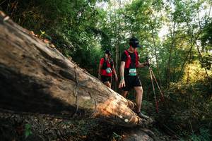 BIB: 
                            <button type="button" onclick="openModal(27938536)" class="btn btn-primary btn-sm float-right btn-popup" data-toggle="modal" data-target=".modal-high-quality">
                        <i class="fas fa-shopping-cart"></i> Add to Cart
                    </button>
                                            <button type="button" onclick="isThisMe(27938536, true)" class="btn btn-success btn-sm float-right btn-popup btn-isme hidden" data-toggle="tooltip" data-placement="bottom" title="นี่คือรูปของคุณใช่ไหม คลิกที่นี่เพื่อเอาเข้าอัลบั้ม">
                        <i class="fas fa-plus"></i> Add to album
                    </button>
                    <button type="button" onclick="isThisMe(27938536, false)" class="btn btn-warning btn-sm float-right btn-popup btn-isnotme hidden">
                        <i class="fas fa-ban"></i> Remove from album
                    </button>