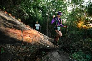 BIB: 
                            <button type="button" onclick="openModal(27957983)" class="btn btn-primary btn-sm float-right btn-popup" data-toggle="modal" data-target=".modal-high-quality">
                        <i class="fas fa-shopping-cart"></i> Add to Cart
                    </button>
                                            <button type="button" onclick="isThisMe(27957983, true)" class="btn btn-success btn-sm float-right btn-popup btn-isme hidden" data-toggle="tooltip" data-placement="bottom" title="นี่คือรูปของคุณใช่ไหม คลิกที่นี่เพื่อเอาเข้าอัลบั้ม">
                        <i class="fas fa-plus"></i> Add to album
                    </button>
                    <button type="button" onclick="isThisMe(27957983, false)" class="btn btn-warning btn-sm float-right btn-popup btn-isnotme hidden">
                        <i class="fas fa-ban"></i> Remove from album
                    </button>