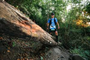 BIB: 
                            <button type="button" onclick="openModal(27958211)" class="btn btn-primary btn-sm float-right btn-popup" data-toggle="modal" data-target=".modal-high-quality">
                        <i class="fas fa-shopping-cart"></i> Add to Cart
                    </button>
                                            <button type="button" onclick="isThisMe(27958211, true)" class="btn btn-success btn-sm float-right btn-popup btn-isme hidden" data-toggle="tooltip" data-placement="bottom" title="นี่คือรูปของคุณใช่ไหม คลิกที่นี่เพื่อเอาเข้าอัลบั้ม">
                        <i class="fas fa-plus"></i> Add to album
                    </button>
                    <button type="button" onclick="isThisMe(27958211, false)" class="btn btn-warning btn-sm float-right btn-popup btn-isnotme hidden">
                        <i class="fas fa-ban"></i> Remove from album
                    </button>