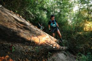 BIB: 
                            <button type="button" onclick="openModal(27945229)" class="btn btn-primary btn-sm float-right btn-popup" data-toggle="modal" data-target=".modal-high-quality">
                        <i class="fas fa-shopping-cart"></i> Add to Cart
                    </button>
                                            <button type="button" onclick="isThisMe(27945229, true)" class="btn btn-success btn-sm float-right btn-popup btn-isme hidden" data-toggle="tooltip" data-placement="bottom" title="นี่คือรูปของคุณใช่ไหม คลิกที่นี่เพื่อเอาเข้าอัลบั้ม">
                        <i class="fas fa-plus"></i> Add to album
                    </button>
                    <button type="button" onclick="isThisMe(27945229, false)" class="btn btn-warning btn-sm float-right btn-popup btn-isnotme hidden">
                        <i class="fas fa-ban"></i> Remove from album
                    </button>