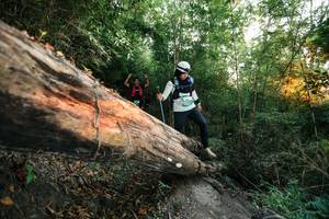 BIB: 
                            <button type="button" onclick="openModal(27958142)" class="btn btn-primary btn-sm float-right btn-popup" data-toggle="modal" data-target=".modal-high-quality">
                        <i class="fas fa-shopping-cart"></i> Add to Cart
                    </button>
                                            <button type="button" onclick="isThisMe(27958142, true)" class="btn btn-success btn-sm float-right btn-popup btn-isme hidden" data-toggle="tooltip" data-placement="bottom" title="นี่คือรูปของคุณใช่ไหม คลิกที่นี่เพื่อเอาเข้าอัลบั้ม">
                        <i class="fas fa-plus"></i> Add to album
                    </button>
                    <button type="button" onclick="isThisMe(27958142, false)" class="btn btn-warning btn-sm float-right btn-popup btn-isnotme hidden">
                        <i class="fas fa-ban"></i> Remove from album
                    </button>