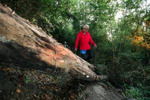 BIB: 
                            <button type="button" onclick="openModal(27958424)" class="btn btn-primary btn-sm float-right btn-popup" data-toggle="modal" data-target=".modal-high-quality">
                        <i class="fas fa-shopping-cart"></i> Add to Cart
                    </button>
                                            <button type="button" onclick="isThisMe(27958424, true)" class="btn btn-success btn-sm float-right btn-popup btn-isme hidden" data-toggle="tooltip" data-placement="bottom" title="นี่คือรูปของคุณใช่ไหม คลิกที่นี่เพื่อเอาเข้าอัลบั้ม">
                        <i class="fas fa-plus"></i> Add to album
                    </button>
                    <button type="button" onclick="isThisMe(27958424, false)" class="btn btn-warning btn-sm float-right btn-popup btn-isnotme hidden">
                        <i class="fas fa-ban"></i> Remove from album
                    </button>