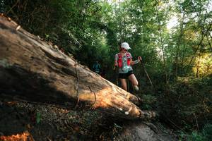 BIB: 
                            <button type="button" onclick="openModal(27940860)" class="btn btn-primary btn-sm float-right btn-popup" data-toggle="modal" data-target=".modal-high-quality">
                        <i class="fas fa-shopping-cart"></i> Add to Cart
                    </button>
                                            <button type="button" onclick="isThisMe(27940860, true)" class="btn btn-success btn-sm float-right btn-popup btn-isme hidden" data-toggle="tooltip" data-placement="bottom" title="นี่คือรูปของคุณใช่ไหม คลิกที่นี่เพื่อเอาเข้าอัลบั้ม">
                        <i class="fas fa-plus"></i> Add to album
                    </button>
                    <button type="button" onclick="isThisMe(27940860, false)" class="btn btn-warning btn-sm float-right btn-popup btn-isnotme hidden">
                        <i class="fas fa-ban"></i> Remove from album
                    </button>