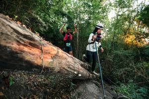 BIB: 
                            <button type="button" onclick="openModal(27958139)" class="btn btn-primary btn-sm float-right btn-popup" data-toggle="modal" data-target=".modal-high-quality">
                        <i class="fas fa-shopping-cart"></i> Add to Cart
                    </button>
                                            <button type="button" onclick="isThisMe(27958139, true)" class="btn btn-success btn-sm float-right btn-popup btn-isme hidden" data-toggle="tooltip" data-placement="bottom" title="นี่คือรูปของคุณใช่ไหม คลิกที่นี่เพื่อเอาเข้าอัลบั้ม">
                        <i class="fas fa-plus"></i> Add to album
                    </button>
                    <button type="button" onclick="isThisMe(27958139, false)" class="btn btn-warning btn-sm float-right btn-popup btn-isnotme hidden">
                        <i class="fas fa-ban"></i> Remove from album
                    </button>