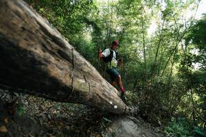 BIB: 
                            <button type="button" onclick="openModal(27935339)" class="btn btn-primary btn-sm float-right btn-popup" data-toggle="modal" data-target=".modal-high-quality">
                        <i class="fas fa-shopping-cart"></i> Add to Cart
                    </button>
                                            <button type="button" onclick="isThisMe(27935339, true)" class="btn btn-success btn-sm float-right btn-popup btn-isme hidden" data-toggle="tooltip" data-placement="bottom" title="นี่คือรูปของคุณใช่ไหม คลิกที่นี่เพื่อเอาเข้าอัลบั้ม">
                        <i class="fas fa-plus"></i> Add to album
                    </button>
                    <button type="button" onclick="isThisMe(27935339, false)" class="btn btn-warning btn-sm float-right btn-popup btn-isnotme hidden">
                        <i class="fas fa-ban"></i> Remove from album
                    </button>