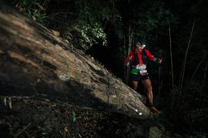 BIB: 
                            <button type="button" onclick="openModal(27965721)" class="btn btn-primary btn-sm float-right btn-popup" data-toggle="modal" data-target=".modal-high-quality">
                        <i class="fas fa-shopping-cart"></i> Add to Cart
                    </button>
                                            <button type="button" onclick="isThisMe(27965721, true)" class="btn btn-success btn-sm float-right btn-popup btn-isme hidden" data-toggle="tooltip" data-placement="bottom" title="นี่คือรูปของคุณใช่ไหม คลิกที่นี่เพื่อเอาเข้าอัลบั้ม">
                        <i class="fas fa-plus"></i> Add to album
                    </button>
                    <button type="button" onclick="isThisMe(27965721, false)" class="btn btn-warning btn-sm float-right btn-popup btn-isnotme hidden">
                        <i class="fas fa-ban"></i> Remove from album
                    </button>