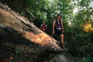 BIB: 
                            <button type="button" onclick="openModal(27950547)" class="btn btn-primary btn-sm float-right btn-popup" data-toggle="modal" data-target=".modal-high-quality">
                        <i class="fas fa-shopping-cart"></i> Add to Cart
                    </button>
                                            <button type="button" onclick="isThisMe(27950547, true)" class="btn btn-success btn-sm float-right btn-popup btn-isme hidden" data-toggle="tooltip" data-placement="bottom" title="นี่คือรูปของคุณใช่ไหม คลิกที่นี่เพื่อเอาเข้าอัลบั้ม">
                        <i class="fas fa-plus"></i> Add to album
                    </button>
                    <button type="button" onclick="isThisMe(27950547, false)" class="btn btn-warning btn-sm float-right btn-popup btn-isnotme hidden">
                        <i class="fas fa-ban"></i> Remove from album
                    </button>