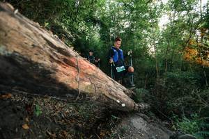 BIB: 
                            <button type="button" onclick="openModal(27958573)" class="btn btn-primary btn-sm float-right btn-popup" data-toggle="modal" data-target=".modal-high-quality">
                        <i class="fas fa-shopping-cart"></i> Add to Cart
                    </button>
                                            <button type="button" onclick="isThisMe(27958573, true)" class="btn btn-success btn-sm float-right btn-popup btn-isme hidden" data-toggle="tooltip" data-placement="bottom" title="นี่คือรูปของคุณใช่ไหม คลิกที่นี่เพื่อเอาเข้าอัลบั้ม">
                        <i class="fas fa-plus"></i> Add to album
                    </button>
                    <button type="button" onclick="isThisMe(27958573, false)" class="btn btn-warning btn-sm float-right btn-popup btn-isnotme hidden">
                        <i class="fas fa-ban"></i> Remove from album
                    </button>