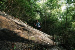 BIB: 
                            <button type="button" onclick="openModal(27934619)" class="btn btn-primary btn-sm float-right btn-popup" data-toggle="modal" data-target=".modal-high-quality">
                        <i class="fas fa-shopping-cart"></i> Add to Cart
                    </button>
                                            <button type="button" onclick="isThisMe(27934619, true)" class="btn btn-success btn-sm float-right btn-popup btn-isme hidden" data-toggle="tooltip" data-placement="bottom" title="นี่คือรูปของคุณใช่ไหม คลิกที่นี่เพื่อเอาเข้าอัลบั้ม">
                        <i class="fas fa-plus"></i> Add to album
                    </button>
                    <button type="button" onclick="isThisMe(27934619, false)" class="btn btn-warning btn-sm float-right btn-popup btn-isnotme hidden">
                        <i class="fas fa-ban"></i> Remove from album
                    </button>