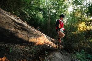 BIB: 
                            <button type="button" onclick="openModal(27941047)" class="btn btn-primary btn-sm float-right btn-popup" data-toggle="modal" data-target=".modal-high-quality">
                        <i class="fas fa-shopping-cart"></i> Add to Cart
                    </button>
                                            <button type="button" onclick="isThisMe(27941047, true)" class="btn btn-success btn-sm float-right btn-popup btn-isme hidden" data-toggle="tooltip" data-placement="bottom" title="นี่คือรูปของคุณใช่ไหม คลิกที่นี่เพื่อเอาเข้าอัลบั้ม">
                        <i class="fas fa-plus"></i> Add to album
                    </button>
                    <button type="button" onclick="isThisMe(27941047, false)" class="btn btn-warning btn-sm float-right btn-popup btn-isnotme hidden">
                        <i class="fas fa-ban"></i> Remove from album
                    </button>