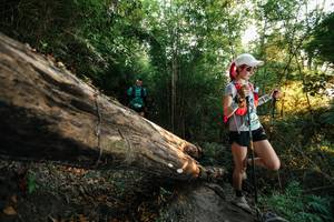 BIB: 
                            <button type="button" onclick="openModal(27940696)" class="btn btn-primary btn-sm float-right btn-popup" data-toggle="modal" data-target=".modal-high-quality">
                        <i class="fas fa-shopping-cart"></i> Add to Cart
                    </button>
                                            <button type="button" onclick="isThisMe(27940696, true)" class="btn btn-success btn-sm float-right btn-popup btn-isme hidden" data-toggle="tooltip" data-placement="bottom" title="นี่คือรูปของคุณใช่ไหม คลิกที่นี่เพื่อเอาเข้าอัลบั้ม">
                        <i class="fas fa-plus"></i> Add to album
                    </button>
                    <button type="button" onclick="isThisMe(27940696, false)" class="btn btn-warning btn-sm float-right btn-popup btn-isnotme hidden">
                        <i class="fas fa-ban"></i> Remove from album
                    </button>