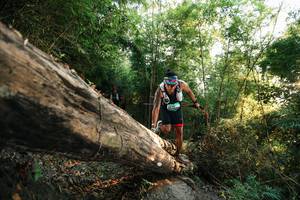 BIB: 
                            <button type="button" onclick="openModal(27935895)" class="btn btn-primary btn-sm float-right btn-popup" data-toggle="modal" data-target=".modal-high-quality">
                        <i class="fas fa-shopping-cart"></i> Add to Cart
                    </button>
                                            <button type="button" onclick="isThisMe(27935895, true)" class="btn btn-success btn-sm float-right btn-popup btn-isme hidden" data-toggle="tooltip" data-placement="bottom" title="นี่คือรูปของคุณใช่ไหม คลิกที่นี่เพื่อเอาเข้าอัลบั้ม">
                        <i class="fas fa-plus"></i> Add to album
                    </button>
                    <button type="button" onclick="isThisMe(27935895, false)" class="btn btn-warning btn-sm float-right btn-popup btn-isnotme hidden">
                        <i class="fas fa-ban"></i> Remove from album
                    </button>