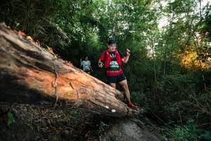 BIB: 
                            <button type="button" onclick="openModal(27957960)" class="btn btn-primary btn-sm float-right btn-popup" data-toggle="modal" data-target=".modal-high-quality">
                        <i class="fas fa-shopping-cart"></i> Add to Cart
                    </button>
                                            <button type="button" onclick="isThisMe(27957960, true)" class="btn btn-success btn-sm float-right btn-popup btn-isme hidden" data-toggle="tooltip" data-placement="bottom" title="นี่คือรูปของคุณใช่ไหม คลิกที่นี่เพื่อเอาเข้าอัลบั้ม">
                        <i class="fas fa-plus"></i> Add to album
                    </button>
                    <button type="button" onclick="isThisMe(27957960, false)" class="btn btn-warning btn-sm float-right btn-popup btn-isnotme hidden">
                        <i class="fas fa-ban"></i> Remove from album
                    </button>