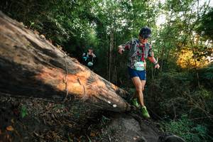 BIB: 
                            <button type="button" onclick="openModal(27949688)" class="btn btn-primary btn-sm float-right btn-popup" data-toggle="modal" data-target=".modal-high-quality">
                        <i class="fas fa-shopping-cart"></i> Add to Cart
                    </button>
                                            <button type="button" onclick="isThisMe(27949688, true)" class="btn btn-success btn-sm float-right btn-popup btn-isme hidden" data-toggle="tooltip" data-placement="bottom" title="นี่คือรูปของคุณใช่ไหม คลิกที่นี่เพื่อเอาเข้าอัลบั้ม">
                        <i class="fas fa-plus"></i> Add to album
                    </button>
                    <button type="button" onclick="isThisMe(27949688, false)" class="btn btn-warning btn-sm float-right btn-popup btn-isnotme hidden">
                        <i class="fas fa-ban"></i> Remove from album
                    </button>