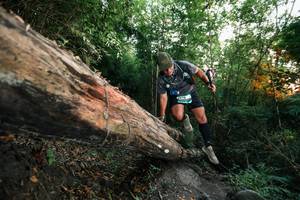 BIB: 
                            <button type="button" onclick="openModal(27958659)" class="btn btn-primary btn-sm float-right btn-popup" data-toggle="modal" data-target=".modal-high-quality">
                        <i class="fas fa-shopping-cart"></i> Add to Cart
                    </button>
                                            <button type="button" onclick="isThisMe(27958659, true)" class="btn btn-success btn-sm float-right btn-popup btn-isme hidden" data-toggle="tooltip" data-placement="bottom" title="นี่คือรูปของคุณใช่ไหม คลิกที่นี่เพื่อเอาเข้าอัลบั้ม">
                        <i class="fas fa-plus"></i> Add to album
                    </button>
                    <button type="button" onclick="isThisMe(27958659, false)" class="btn btn-warning btn-sm float-right btn-popup btn-isnotme hidden">
                        <i class="fas fa-ban"></i> Remove from album
                    </button>