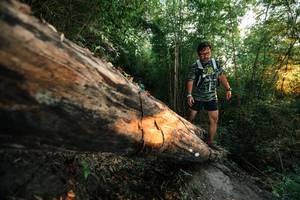 BIB: 
                            <button type="button" onclick="openModal(27948874)" class="btn btn-primary btn-sm float-right btn-popup" data-toggle="modal" data-target=".modal-high-quality">
                        <i class="fas fa-shopping-cart"></i> Add to Cart
                    </button>
                                            <button type="button" onclick="isThisMe(27948874, true)" class="btn btn-success btn-sm float-right btn-popup btn-isme hidden" data-toggle="tooltip" data-placement="bottom" title="นี่คือรูปของคุณใช่ไหม คลิกที่นี่เพื่อเอาเข้าอัลบั้ม">
                        <i class="fas fa-plus"></i> Add to album
                    </button>
                    <button type="button" onclick="isThisMe(27948874, false)" class="btn btn-warning btn-sm float-right btn-popup btn-isnotme hidden">
                        <i class="fas fa-ban"></i> Remove from album
                    </button>