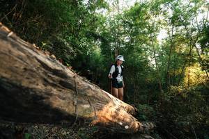 BIB: 
                            <button type="button" onclick="openModal(27938960)" class="btn btn-primary btn-sm float-right btn-popup" data-toggle="modal" data-target=".modal-high-quality">
                        <i class="fas fa-shopping-cart"></i> Add to Cart
                    </button>
                                            <button type="button" onclick="isThisMe(27938960, true)" class="btn btn-success btn-sm float-right btn-popup btn-isme hidden" data-toggle="tooltip" data-placement="bottom" title="นี่คือรูปของคุณใช่ไหม คลิกที่นี่เพื่อเอาเข้าอัลบั้ม">
                        <i class="fas fa-plus"></i> Add to album
                    </button>
                    <button type="button" onclick="isThisMe(27938960, false)" class="btn btn-warning btn-sm float-right btn-popup btn-isnotme hidden">
                        <i class="fas fa-ban"></i> Remove from album
                    </button>