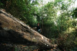 BIB: 
                            <button type="button" onclick="openModal(27935042)" class="btn btn-primary btn-sm float-right btn-popup" data-toggle="modal" data-target=".modal-high-quality">
                        <i class="fas fa-shopping-cart"></i> Add to Cart
                    </button>
                                            <button type="button" onclick="isThisMe(27935042, true)" class="btn btn-success btn-sm float-right btn-popup btn-isme hidden" data-toggle="tooltip" data-placement="bottom" title="นี่คือรูปของคุณใช่ไหม คลิกที่นี่เพื่อเอาเข้าอัลบั้ม">
                        <i class="fas fa-plus"></i> Add to album
                    </button>
                    <button type="button" onclick="isThisMe(27935042, false)" class="btn btn-warning btn-sm float-right btn-popup btn-isnotme hidden">
                        <i class="fas fa-ban"></i> Remove from album
                    </button>