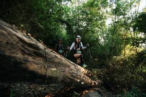 BIB: 
                            <button type="button" onclick="openModal(27935182)" class="btn btn-primary btn-sm float-right btn-popup" data-toggle="modal" data-target=".modal-high-quality">
                        <i class="fas fa-shopping-cart"></i> Add to Cart
                    </button>
                                            <button type="button" onclick="isThisMe(27935182, true)" class="btn btn-success btn-sm float-right btn-popup btn-isme hidden" data-toggle="tooltip" data-placement="bottom" title="นี่คือรูปของคุณใช่ไหม คลิกที่นี่เพื่อเอาเข้าอัลบั้ม">
                        <i class="fas fa-plus"></i> Add to album
                    </button>
                    <button type="button" onclick="isThisMe(27935182, false)" class="btn btn-warning btn-sm float-right btn-popup btn-isnotme hidden">
                        <i class="fas fa-ban"></i> Remove from album
                    </button>