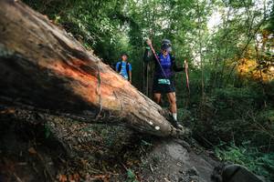 BIB: 
                            <button type="button" onclick="openModal(27958227)" class="btn btn-primary btn-sm float-right btn-popup" data-toggle="modal" data-target=".modal-high-quality">
                        <i class="fas fa-shopping-cart"></i> Add to Cart
                    </button>
                                            <button type="button" onclick="isThisMe(27958227, true)" class="btn btn-success btn-sm float-right btn-popup btn-isme hidden" data-toggle="tooltip" data-placement="bottom" title="นี่คือรูปของคุณใช่ไหม คลิกที่นี่เพื่อเอาเข้าอัลบั้ม">
                        <i class="fas fa-plus"></i> Add to album
                    </button>
                    <button type="button" onclick="isThisMe(27958227, false)" class="btn btn-warning btn-sm float-right btn-popup btn-isnotme hidden">
                        <i class="fas fa-ban"></i> Remove from album
                    </button>