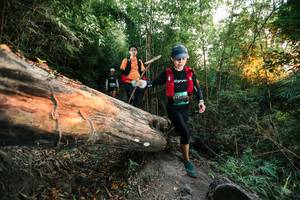 BIB: 
                            <button type="button" onclick="openModal(27958049)" class="btn btn-primary btn-sm float-right btn-popup" data-toggle="modal" data-target=".modal-high-quality">
                        <i class="fas fa-shopping-cart"></i> Add to Cart
                    </button>
                                            <button type="button" onclick="isThisMe(27958049, true)" class="btn btn-success btn-sm float-right btn-popup btn-isme hidden" data-toggle="tooltip" data-placement="bottom" title="นี่คือรูปของคุณใช่ไหม คลิกที่นี่เพื่อเอาเข้าอัลบั้ม">
                        <i class="fas fa-plus"></i> Add to album
                    </button>
                    <button type="button" onclick="isThisMe(27958049, false)" class="btn btn-warning btn-sm float-right btn-popup btn-isnotme hidden">
                        <i class="fas fa-ban"></i> Remove from album
                    </button>