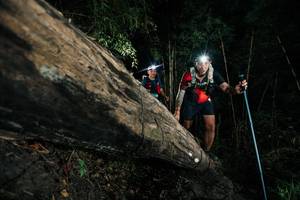 BIB: 
                            <button type="button" onclick="openModal(27964676)" class="btn btn-primary btn-sm float-right btn-popup" data-toggle="modal" data-target=".modal-high-quality">
                        <i class="fas fa-shopping-cart"></i> Add to Cart
                    </button>
                                            <button type="button" onclick="isThisMe(27964676, true)" class="btn btn-success btn-sm float-right btn-popup btn-isme hidden" data-toggle="tooltip" data-placement="bottom" title="นี่คือรูปของคุณใช่ไหม คลิกที่นี่เพื่อเอาเข้าอัลบั้ม">
                        <i class="fas fa-plus"></i> Add to album
                    </button>
                    <button type="button" onclick="isThisMe(27964676, false)" class="btn btn-warning btn-sm float-right btn-popup btn-isnotme hidden">
                        <i class="fas fa-ban"></i> Remove from album
                    </button>