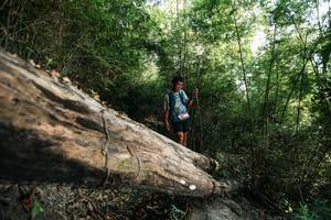 BIB: 
                            <button type="button" onclick="openModal(27934618)" class="btn btn-primary btn-sm float-right btn-popup" data-toggle="modal" data-target=".modal-high-quality">
                        <i class="fas fa-shopping-cart"></i> Add to Cart
                    </button>
                                            <button type="button" onclick="isThisMe(27934618, true)" class="btn btn-success btn-sm float-right btn-popup btn-isme hidden" data-toggle="tooltip" data-placement="bottom" title="นี่คือรูปของคุณใช่ไหม คลิกที่นี่เพื่อเอาเข้าอัลบั้ม">
                        <i class="fas fa-plus"></i> Add to album
                    </button>
                    <button type="button" onclick="isThisMe(27934618, false)" class="btn btn-warning btn-sm float-right btn-popup btn-isnotme hidden">
                        <i class="fas fa-ban"></i> Remove from album
                    </button>