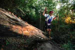 BIB: 
                            <button type="button" onclick="openModal(27951665)" class="btn btn-primary btn-sm float-right btn-popup" data-toggle="modal" data-target=".modal-high-quality">
                        <i class="fas fa-shopping-cart"></i> Add to Cart
                    </button>
                                            <button type="button" onclick="isThisMe(27951665, true)" class="btn btn-success btn-sm float-right btn-popup btn-isme hidden" data-toggle="tooltip" data-placement="bottom" title="นี่คือรูปของคุณใช่ไหม คลิกที่นี่เพื่อเอาเข้าอัลบั้ม">
                        <i class="fas fa-plus"></i> Add to album
                    </button>
                    <button type="button" onclick="isThisMe(27951665, false)" class="btn btn-warning btn-sm float-right btn-popup btn-isnotme hidden">
                        <i class="fas fa-ban"></i> Remove from album
                    </button>