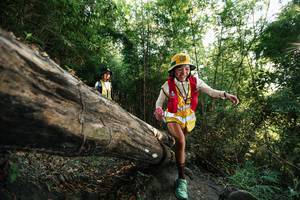 BIB: 
                            <button type="button" onclick="openModal(27935397)" class="btn btn-primary btn-sm float-right btn-popup" data-toggle="modal" data-target=".modal-high-quality">
                        <i class="fas fa-shopping-cart"></i> Add to Cart
                    </button>
                                            <button type="button" onclick="isThisMe(27935397, true)" class="btn btn-success btn-sm float-right btn-popup btn-isme hidden" data-toggle="tooltip" data-placement="bottom" title="นี่คือรูปของคุณใช่ไหม คลิกที่นี่เพื่อเอาเข้าอัลบั้ม">
                        <i class="fas fa-plus"></i> Add to album
                    </button>
                    <button type="button" onclick="isThisMe(27935397, false)" class="btn btn-warning btn-sm float-right btn-popup btn-isnotme hidden">
                        <i class="fas fa-ban"></i> Remove from album
                    </button>