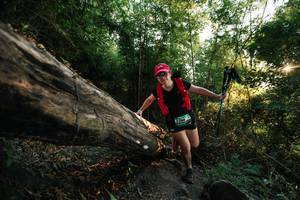 BIB: 
                            <button type="button" onclick="openModal(27935235)" class="btn btn-primary btn-sm float-right btn-popup" data-toggle="modal" data-target=".modal-high-quality">
                        <i class="fas fa-shopping-cart"></i> Add to Cart
                    </button>
                                            <button type="button" onclick="isThisMe(27935235, true)" class="btn btn-success btn-sm float-right btn-popup btn-isme hidden" data-toggle="tooltip" data-placement="bottom" title="นี่คือรูปของคุณใช่ไหม คลิกที่นี่เพื่อเอาเข้าอัลบั้ม">
                        <i class="fas fa-plus"></i> Add to album
                    </button>
                    <button type="button" onclick="isThisMe(27935235, false)" class="btn btn-warning btn-sm float-right btn-popup btn-isnotme hidden">
                        <i class="fas fa-ban"></i> Remove from album
                    </button>