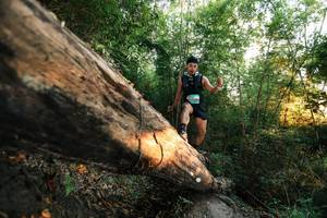 BIB: 
                            <button type="button" onclick="openModal(27947374)" class="btn btn-primary btn-sm float-right btn-popup" data-toggle="modal" data-target=".modal-high-quality">
                        <i class="fas fa-shopping-cart"></i> Add to Cart
                    </button>
                                            <button type="button" onclick="isThisMe(27947374, true)" class="btn btn-success btn-sm float-right btn-popup btn-isme hidden" data-toggle="tooltip" data-placement="bottom" title="นี่คือรูปของคุณใช่ไหม คลิกที่นี่เพื่อเอาเข้าอัลบั้ม">
                        <i class="fas fa-plus"></i> Add to album
                    </button>
                    <button type="button" onclick="isThisMe(27947374, false)" class="btn btn-warning btn-sm float-right btn-popup btn-isnotme hidden">
                        <i class="fas fa-ban"></i> Remove from album
                    </button>