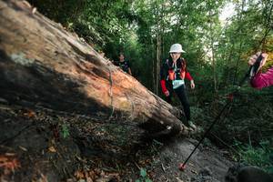 BIB: 
                            <button type="button" onclick="openModal(27958344)" class="btn btn-primary btn-sm float-right btn-popup" data-toggle="modal" data-target=".modal-high-quality">
                        <i class="fas fa-shopping-cart"></i> Add to Cart
                    </button>
                                            <button type="button" onclick="isThisMe(27958344, true)" class="btn btn-success btn-sm float-right btn-popup btn-isme hidden" data-toggle="tooltip" data-placement="bottom" title="นี่คือรูปของคุณใช่ไหม คลิกที่นี่เพื่อเอาเข้าอัลบั้ม">
                        <i class="fas fa-plus"></i> Add to album
                    </button>
                    <button type="button" onclick="isThisMe(27958344, false)" class="btn btn-warning btn-sm float-right btn-popup btn-isnotme hidden">
                        <i class="fas fa-ban"></i> Remove from album
                    </button>