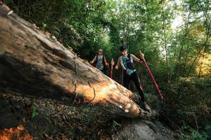 BIB: 
                            <button type="button" onclick="openModal(27944426)" class="btn btn-primary btn-sm float-right btn-popup" data-toggle="modal" data-target=".modal-high-quality">
                        <i class="fas fa-shopping-cart"></i> Add to Cart
                    </button>
                                            <button type="button" onclick="isThisMe(27944426, true)" class="btn btn-success btn-sm float-right btn-popup btn-isme hidden" data-toggle="tooltip" data-placement="bottom" title="นี่คือรูปของคุณใช่ไหม คลิกที่นี่เพื่อเอาเข้าอัลบั้ม">
                        <i class="fas fa-plus"></i> Add to album
                    </button>
                    <button type="button" onclick="isThisMe(27944426, false)" class="btn btn-warning btn-sm float-right btn-popup btn-isnotme hidden">
                        <i class="fas fa-ban"></i> Remove from album
                    </button>