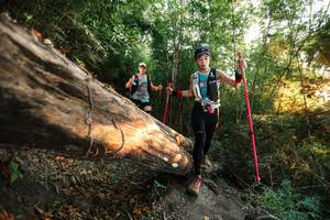 BIB: 
                            <button type="button" onclick="openModal(27944277)" class="btn btn-primary btn-sm float-right btn-popup" data-toggle="modal" data-target=".modal-high-quality">
                        <i class="fas fa-shopping-cart"></i> Add to Cart
                    </button>
                                            <button type="button" onclick="isThisMe(27944277, true)" class="btn btn-success btn-sm float-right btn-popup btn-isme hidden" data-toggle="tooltip" data-placement="bottom" title="นี่คือรูปของคุณใช่ไหม คลิกที่นี่เพื่อเอาเข้าอัลบั้ม">
                        <i class="fas fa-plus"></i> Add to album
                    </button>
                    <button type="button" onclick="isThisMe(27944277, false)" class="btn btn-warning btn-sm float-right btn-popup btn-isnotme hidden">
                        <i class="fas fa-ban"></i> Remove from album
                    </button>