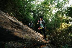 BIB: 
                            <button type="button" onclick="openModal(27935191)" class="btn btn-primary btn-sm float-right btn-popup" data-toggle="modal" data-target=".modal-high-quality">
                        <i class="fas fa-shopping-cart"></i> Add to Cart
                    </button>
                                            <button type="button" onclick="isThisMe(27935191, true)" class="btn btn-success btn-sm float-right btn-popup btn-isme hidden" data-toggle="tooltip" data-placement="bottom" title="นี่คือรูปของคุณใช่ไหม คลิกที่นี่เพื่อเอาเข้าอัลบั้ม">
                        <i class="fas fa-plus"></i> Add to album
                    </button>
                    <button type="button" onclick="isThisMe(27935191, false)" class="btn btn-warning btn-sm float-right btn-popup btn-isnotme hidden">
                        <i class="fas fa-ban"></i> Remove from album
                    </button>