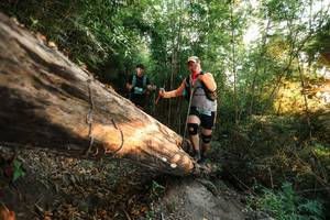 BIB: 
                            <button type="button" onclick="openModal(27944097)" class="btn btn-primary btn-sm float-right btn-popup" data-toggle="modal" data-target=".modal-high-quality">
                        <i class="fas fa-shopping-cart"></i> Add to Cart
                    </button>
                                            <button type="button" onclick="isThisMe(27944097, true)" class="btn btn-success btn-sm float-right btn-popup btn-isme hidden" data-toggle="tooltip" data-placement="bottom" title="นี่คือรูปของคุณใช่ไหม คลิกที่นี่เพื่อเอาเข้าอัลบั้ม">
                        <i class="fas fa-plus"></i> Add to album
                    </button>
                    <button type="button" onclick="isThisMe(27944097, false)" class="btn btn-warning btn-sm float-right btn-popup btn-isnotme hidden">
                        <i class="fas fa-ban"></i> Remove from album
                    </button>