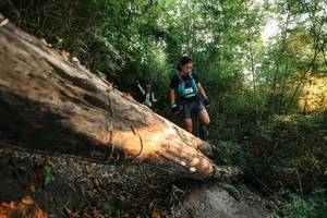 BIB: 
                            <button type="button" onclick="openModal(27945242)" class="btn btn-primary btn-sm float-right btn-popup" data-toggle="modal" data-target=".modal-high-quality">
                        <i class="fas fa-shopping-cart"></i> Add to Cart
                    </button>
                                            <button type="button" onclick="isThisMe(27945242, true)" class="btn btn-success btn-sm float-right btn-popup btn-isme hidden" data-toggle="tooltip" data-placement="bottom" title="นี่คือรูปของคุณใช่ไหม คลิกที่นี่เพื่อเอาเข้าอัลบั้ม">
                        <i class="fas fa-plus"></i> Add to album
                    </button>
                    <button type="button" onclick="isThisMe(27945242, false)" class="btn btn-warning btn-sm float-right btn-popup btn-isnotme hidden">
                        <i class="fas fa-ban"></i> Remove from album
                    </button>