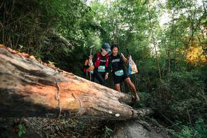 BIB: 
                            <button type="button" onclick="openModal(27958064)" class="btn btn-primary btn-sm float-right btn-popup" data-toggle="modal" data-target=".modal-high-quality">
                        <i class="fas fa-shopping-cart"></i> Add to Cart
                    </button>
                                            <button type="button" onclick="isThisMe(27958064, true)" class="btn btn-success btn-sm float-right btn-popup btn-isme hidden" data-toggle="tooltip" data-placement="bottom" title="นี่คือรูปของคุณใช่ไหม คลิกที่นี่เพื่อเอาเข้าอัลบั้ม">
                        <i class="fas fa-plus"></i> Add to album
                    </button>
                    <button type="button" onclick="isThisMe(27958064, false)" class="btn btn-warning btn-sm float-right btn-popup btn-isnotme hidden">
                        <i class="fas fa-ban"></i> Remove from album
                    </button>