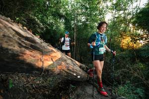 BIB: 
                            <button type="button" onclick="openModal(27950154)" class="btn btn-primary btn-sm float-right btn-popup" data-toggle="modal" data-target=".modal-high-quality">
                        <i class="fas fa-shopping-cart"></i> Add to Cart
                    </button>
                                            <button type="button" onclick="isThisMe(27950154, true)" class="btn btn-success btn-sm float-right btn-popup btn-isme hidden" data-toggle="tooltip" data-placement="bottom" title="นี่คือรูปของคุณใช่ไหม คลิกที่นี่เพื่อเอาเข้าอัลบั้ม">
                        <i class="fas fa-plus"></i> Add to album
                    </button>
                    <button type="button" onclick="isThisMe(27950154, false)" class="btn btn-warning btn-sm float-right btn-popup btn-isnotme hidden">
                        <i class="fas fa-ban"></i> Remove from album
                    </button>