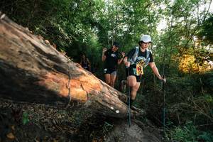 BIB: 
                            <button type="button" onclick="openModal(27951211)" class="btn btn-primary btn-sm float-right btn-popup" data-toggle="modal" data-target=".modal-high-quality">
                        <i class="fas fa-shopping-cart"></i> Add to Cart
                    </button>
                                            <button type="button" onclick="isThisMe(27951211, true)" class="btn btn-success btn-sm float-right btn-popup btn-isme hidden" data-toggle="tooltip" data-placement="bottom" title="นี่คือรูปของคุณใช่ไหม คลิกที่นี่เพื่อเอาเข้าอัลบั้ม">
                        <i class="fas fa-plus"></i> Add to album
                    </button>
                    <button type="button" onclick="isThisMe(27951211, false)" class="btn btn-warning btn-sm float-right btn-popup btn-isnotme hidden">
                        <i class="fas fa-ban"></i> Remove from album
                    </button>