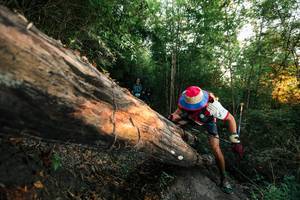 BIB: 
                            <button type="button" onclick="openModal(27950354)" class="btn btn-primary btn-sm float-right btn-popup" data-toggle="modal" data-target=".modal-high-quality">
                        <i class="fas fa-shopping-cart"></i> Add to Cart
                    </button>
                                            <button type="button" onclick="isThisMe(27950354, true)" class="btn btn-success btn-sm float-right btn-popup btn-isme hidden" data-toggle="tooltip" data-placement="bottom" title="นี่คือรูปของคุณใช่ไหม คลิกที่นี่เพื่อเอาเข้าอัลบั้ม">
                        <i class="fas fa-plus"></i> Add to album
                    </button>
                    <button type="button" onclick="isThisMe(27950354, false)" class="btn btn-warning btn-sm float-right btn-popup btn-isnotme hidden">
                        <i class="fas fa-ban"></i> Remove from album
                    </button>