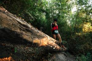 BIB: 
                            <button type="button" onclick="openModal(27941152)" class="btn btn-primary btn-sm float-right btn-popup" data-toggle="modal" data-target=".modal-high-quality">
                        <i class="fas fa-shopping-cart"></i> Add to Cart
                    </button>
                                            <button type="button" onclick="isThisMe(27941152, true)" class="btn btn-success btn-sm float-right btn-popup btn-isme hidden" data-toggle="tooltip" data-placement="bottom" title="นี่คือรูปของคุณใช่ไหม คลิกที่นี่เพื่อเอาเข้าอัลบั้ม">
                        <i class="fas fa-plus"></i> Add to album
                    </button>
                    <button type="button" onclick="isThisMe(27941152, false)" class="btn btn-warning btn-sm float-right btn-popup btn-isnotme hidden">
                        <i class="fas fa-ban"></i> Remove from album
                    </button>